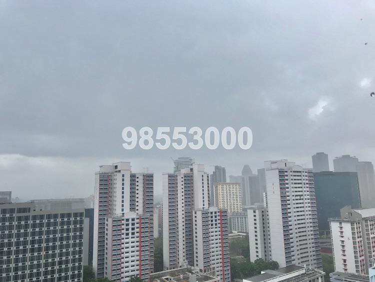 Blk 807 King Georges Avenue (Kallang/Whampoa), HDB 5 Rooms #167202522